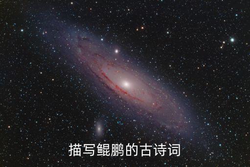 描寫鯤鵬的古詩詞
