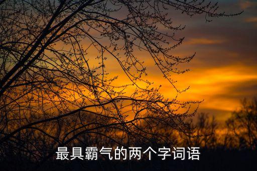 超拽的兩個字，帶個拽字的網名兩個字的拜托了