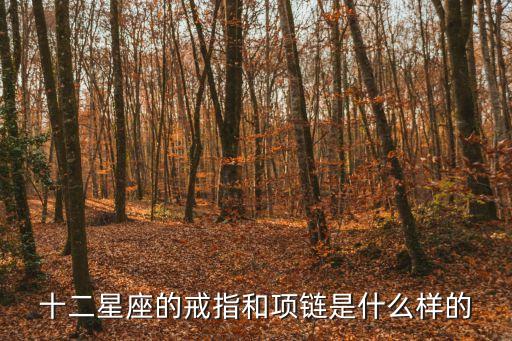 星座項(xiàng)鏈，情侶項(xiàng)鏈如何挑選12星座戴什么情侶項(xiàng)鏈
