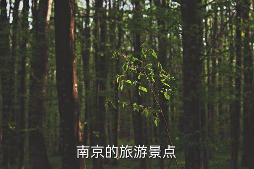 南京的旅游景點