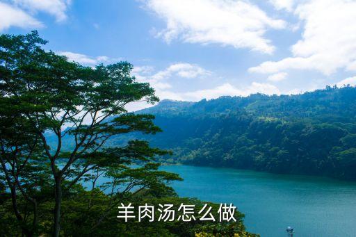 羊肉湯怎么做