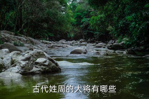 姓周的歷史名人，歷史上周姓的名人寫出盡可能多的給滿意