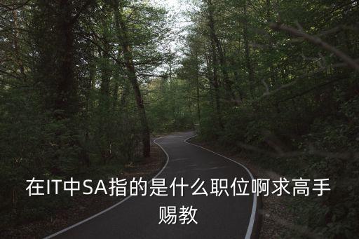 sa是什么崗位，請問4S店里SA 和SR各代表什么職位啊