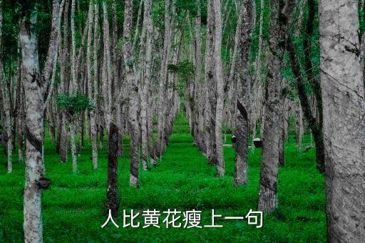 人比黃花，莫道不消魂簾卷西風人比黃花瘦什么意思