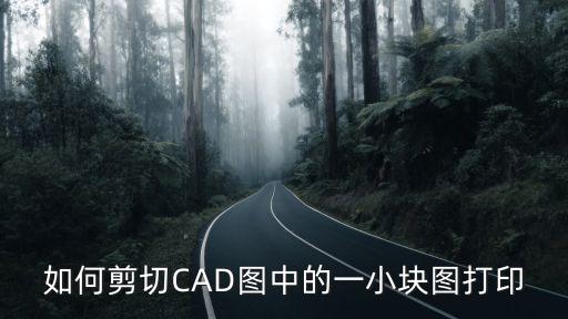 如何剪切CAD圖中的一小塊圖打印