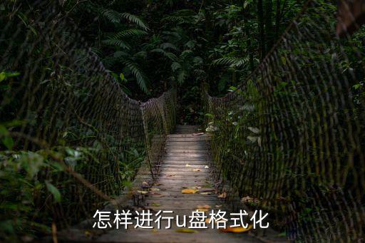如何將u盤格式化，怎么把U盤格式化
