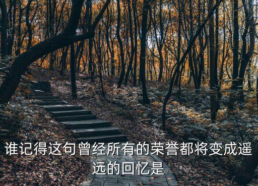 遙遠(yuǎn)的回憶，讀八上遙遠(yuǎn)的回憶的感受