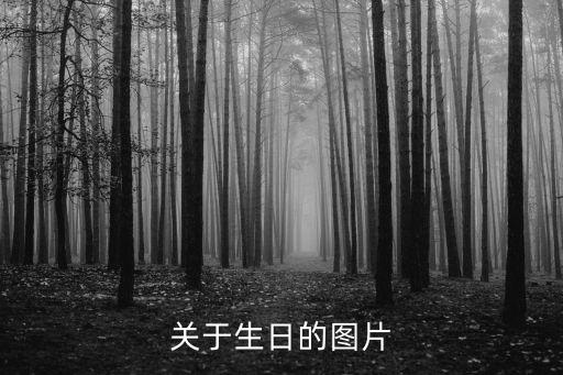 關(guān)于生日的圖片