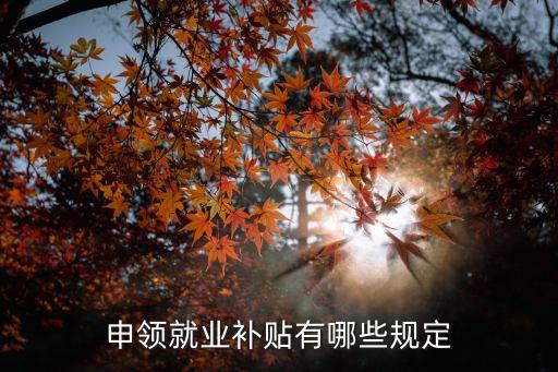 就業補貼申請條件，申領就業補貼有哪些規定