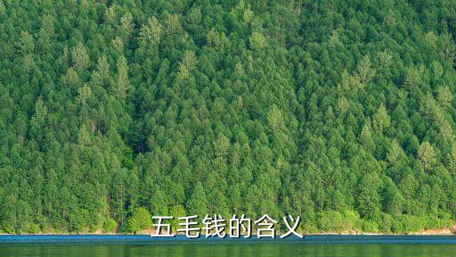 五毛錢，5毛錢什么意思