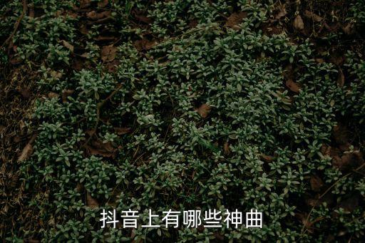 抖音神曲100首，抖音比較火的歌曲有哪些王權