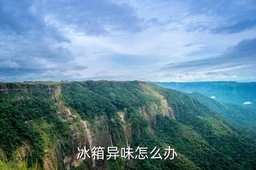 冰箱異味怎么辦