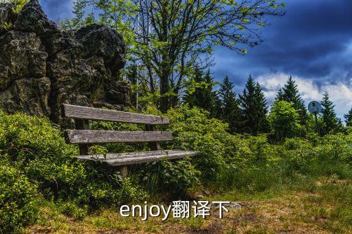 enjoy翻譯下