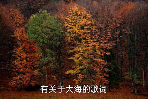 大海歌詞，大海