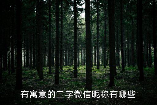 有寓意的二字微信昵稱有哪些