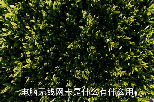 電腦無線網卡，電腦無線網卡是什么有什么用