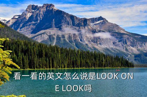 看一看的英文怎么說是LOOK ONE LOOK嗎