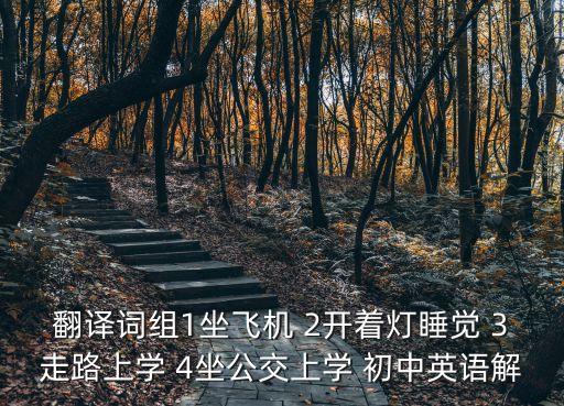 翻譯詞組1坐飛機 2開著燈睡覺 3走路上學 4坐公交上學 初中英語解