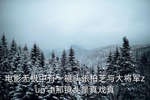 電影無極中有一鏡頭張柏芝與大將軍zuo ai那鏡頭是真戲真