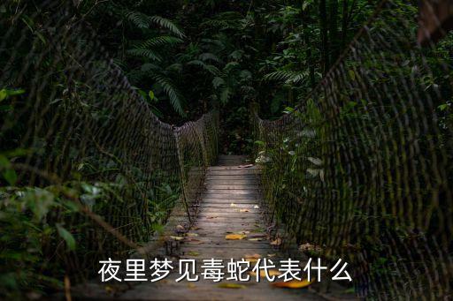 夢(mèng)見毒蛇，夜里夢(mèng)見毒蛇代表什么