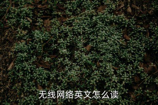 無線網絡英文，無線網絡用英語怎么說