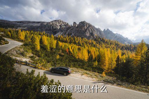羞澀，羞澀拼音是什么