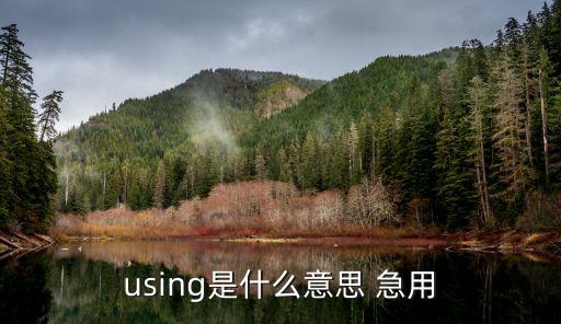 using是什么意思 急用
