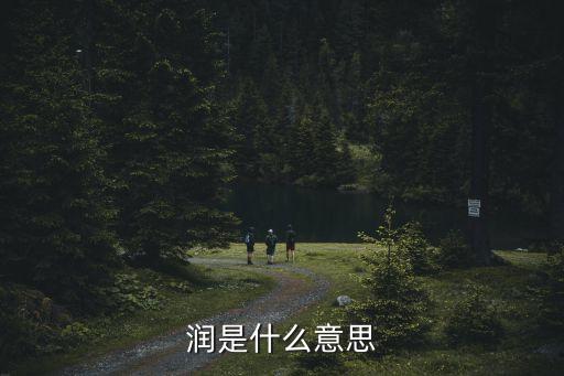 潤是什么意思