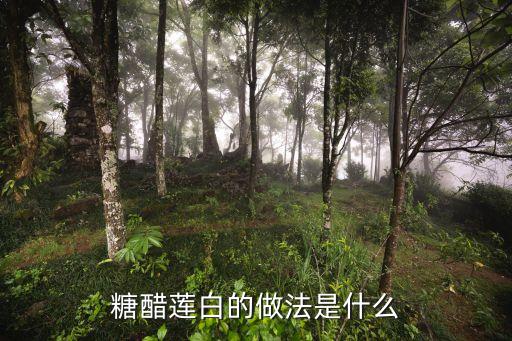 糖醋蓮花白的做法，糖醋蓮白的做法是什么