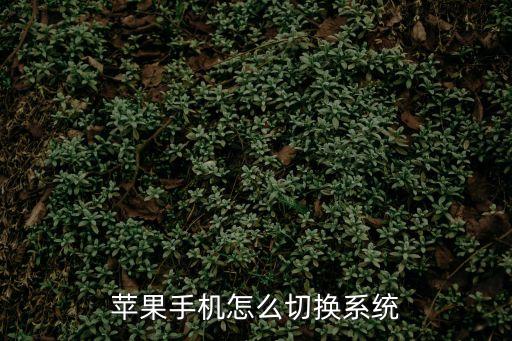 蘋果怎么切換系統(tǒng)，蘋果切換系統(tǒng)按哪個(gè)鍵