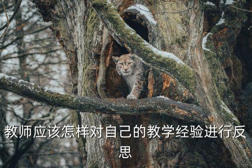 教師應該怎樣對自己的教學經驗進行反思