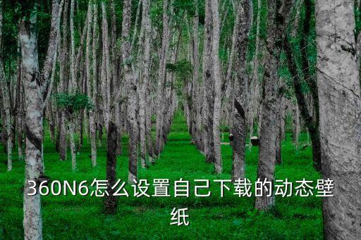 360動態壁紙，360手機助手上怎么下載動態壁紙
