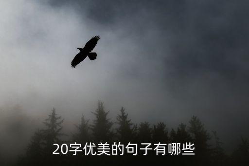好段摘抄20字，優美的句子20字