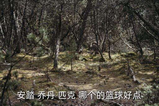 最好的籃球鞋，性價比高的哪種運動鞋好