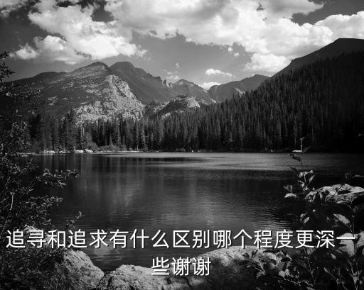 追尋的意思，追尋和追求有什么區別哪個程度更深一些謝謝