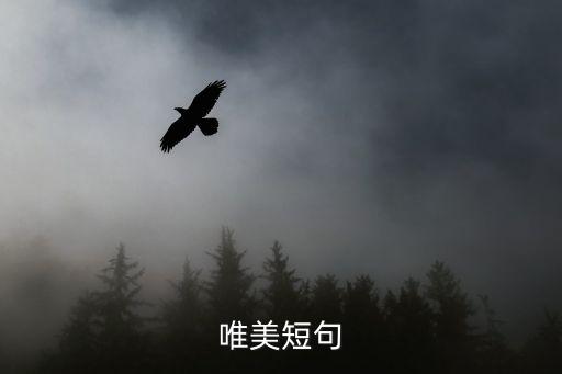 史上最唯美畢業照，唯美短句