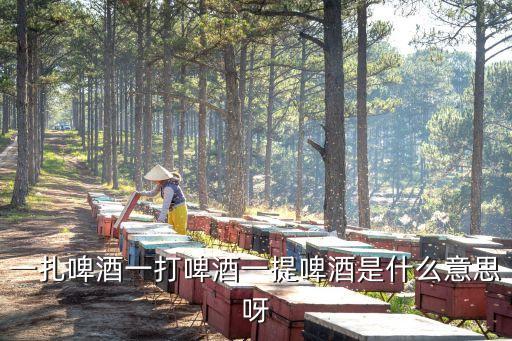 一打，一打是什么單位數目是