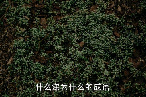 什么涕為什么的成語