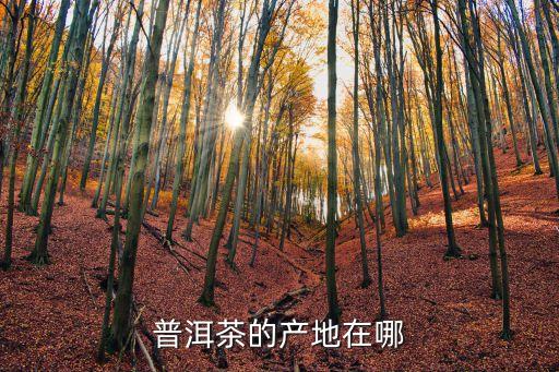 普洱茶的產地在哪