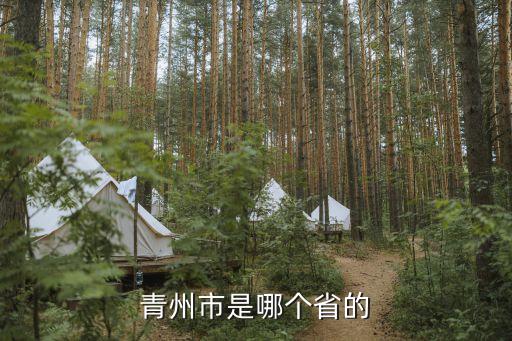 山東省青州市，青州在中國哪個地方
