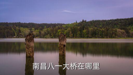 南昌八一大橋，南昌八一大橋在哪里