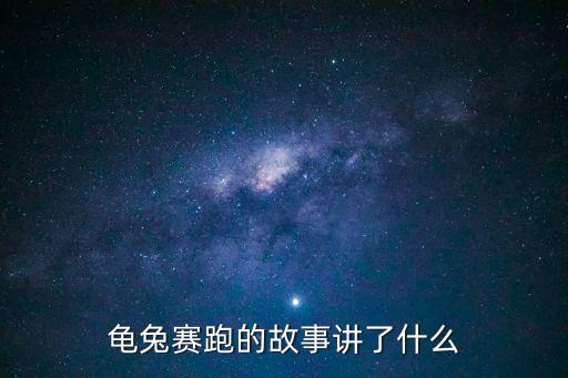 小烏龜的故事，關于小烏龜的故事