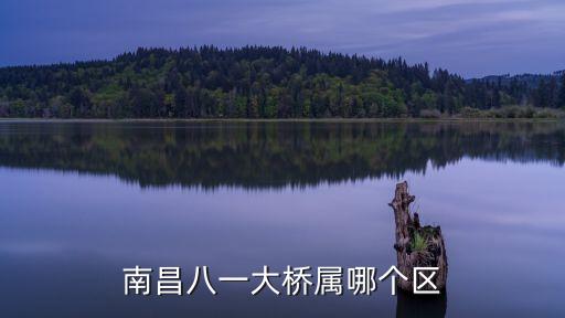 南昌八一大橋?qū)倌膫€區(qū)