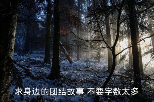 關于團結的故事，民族團結小故事50字