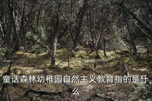 童話森林幼稚園自然主義教育指的是什么