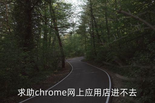 求助chrome網上應用店進不去