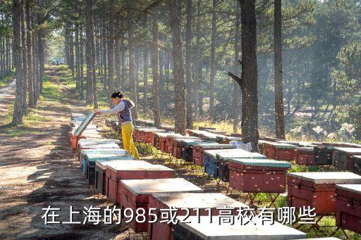 在上海的985或211高校有哪些