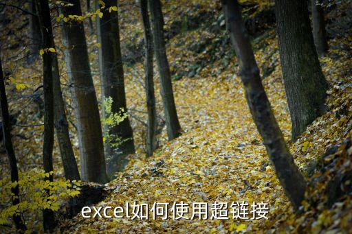 excel鏈接，excel如何使用超鏈接