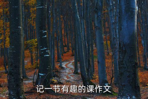 記一節有趣的課作文