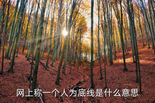 網(wǎng)上稱一個(gè)人為底線是什么意思